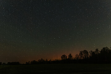 Fototapeta premium Silhouette of pine trees under a starry night sky with a faint orange glow on the horizon, capturing the calm beauty of nature after sunset.