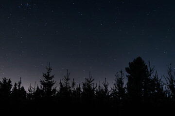 Fototapeta premium Silhouette of pine trees under a starry night sky with a faint orange glow on the horizon, capturing the calm beauty of nature after sunset.