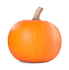 One whole ripe pumpkin isolated on white