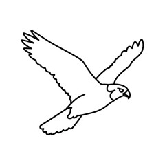 Line drawing of a peregrine falcon in flight