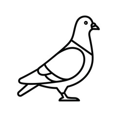 Simple line drawing of a pigeon standing still