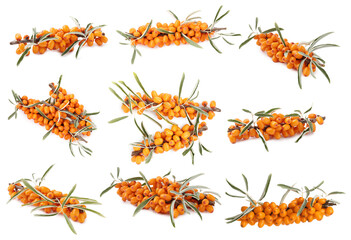 Sea buckthorn berries and green leaves isolated on white, set