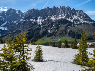 Distant Snowy Peaks And Forest