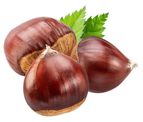 Raw edible chestnuts with green leaves on white background. File contains clipping paths.