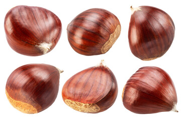 Set of six raw chestnuts on white background. File contains clipping paths.