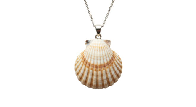 Shell pendant necklace on silver chain with striped pattern  