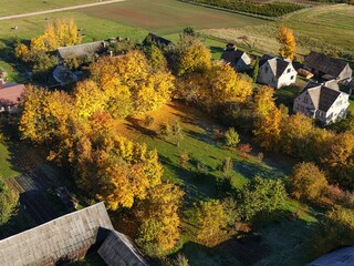 autumn in the  Lithuanian garden
