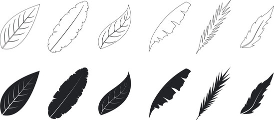 Feather vector icons for nature and  design. Elegant bird plume silhouettes and outlines for decorative graphics. Hand-drawn feather elements for creative projects.
