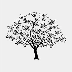 Obraz premium Detailed silhouette of a large deciduous tree with abundant leaves and branches on a white background