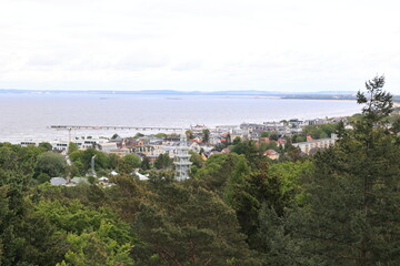Obraz premium Blick von dem Heringsdorfer Baumwipfelpfad auf die Naturlandschaft der Ostseeinsel Usedom 