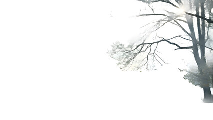 Obraz premium Bare tree branches silhouetted against bright winter sky