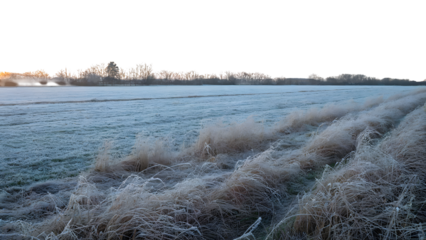 Frosty field landscape under a winter morning sky. Isolated on transparent background, png