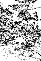 Randomly distributed leaf shapes form organic network with overlapping outlines and irregular placement.