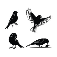 Four silhouette birds collection including one flying and one eating an insect vector