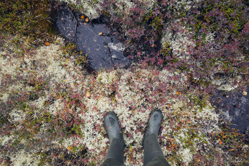 A view down onto a hiker's boots on moss near a puddle in the tundra