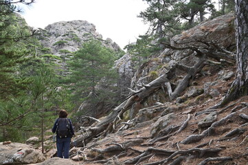 Bavella-Ospedale-Corsica