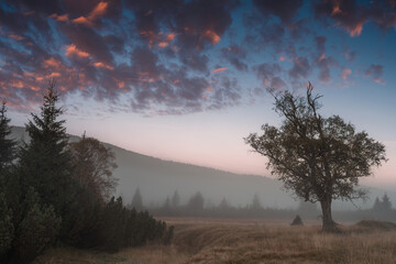 Krajobraz, Natura, Piękny widok, Góry, Mgła, Drzewa, Las, Landscape, Nature, Beautiful View, Mountains, Fog, Trees, Forest,