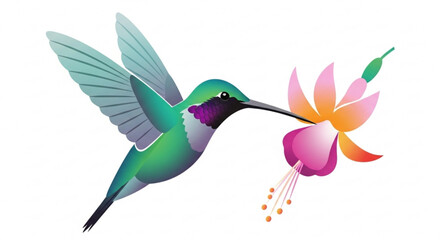 Fototapeta premium Hummingbird feeding on nectar from a vibrant fuchsia flower in a colorful illustration