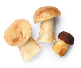 Fresh porcini mushrooms isolated on white, top view
