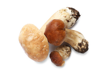 Three fresh porcini mushrooms isolated on white, top view