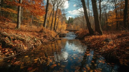 Autumnal river scene with colorful foliage and trees reflecting in the water on a sunny day