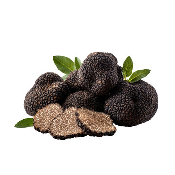Gourmet black truffles artfully arranged with fresh green leaves and delicate slices