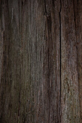 old wood texture