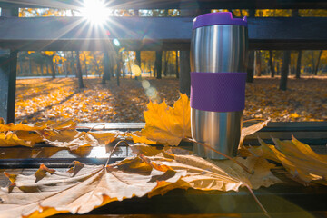 Close-up of a purple and silver thermo mug and bright yellow maple leaves on a wooden park bench with sun rays shining through the trees