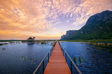 Beauty view on wooden bridge over lotus lake at sunset in khao sam roi yot national park, travel Thailand