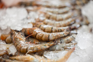 Fresh seafood on ice displayed at bustling thailand fish market