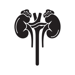 Human Kidneys Anatomy Black Silhouette Medical Icon Vector Design