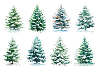 Fototapeta premium PNG Watercolor snowy evergreen trees, element set on transparent background