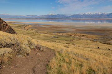 Dooley Knob trail on Antelope Island State Park, Utah