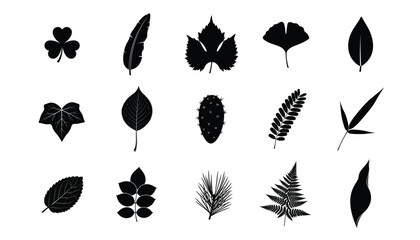 Collection of hand drawn black leaf silhouettes and botanical illustrations on a white background