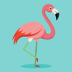 Vibrant pink flamingo vector illustration on teal background scalable and perfect for various design projects silhouette White background