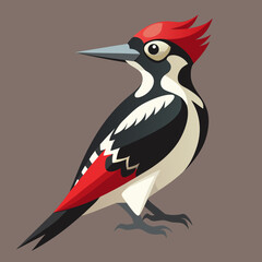 Scalable vector illustration of a woodpecker bird with red head black and white feathers for graphic design projects silhouette White background