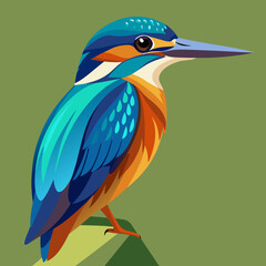 Vibrant vector illustration of a kingfisher bird in vivid colors perfect for nature art and design silhouette White background