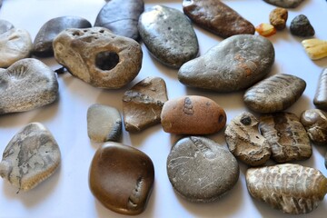 Collection of fossil stones and textured beach pebbles on white background, showcasing natural patterns and prehistoric imprints.
