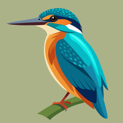 Obraz premium Vibrant kingfisher bird vector illustration scalable graphic design for nature and wildlife projects silhouette White background