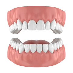 Fototapeta premium 3D Dental Model of Human Teeth and Gums. Perfect White Dentures for Oral Health, Dentistry, and Cosmetic Smile Concepts on an Isolated White Background.