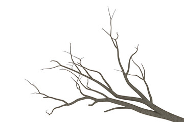 Fototapeta premium Bare tree branch extends diagonally, stark against a white background, suggesting winter's quiet stillness.