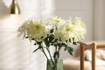 Beautiful white chrysanthemum flowers in vase on wooden shelf indoors