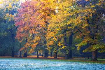 A beautiful autumn morning in the first rays of sunshine in the park in Żywiec (Silesian Voivodeship, Poland)
