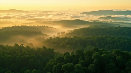 Fototapeta premium Misty Forest Landscape at Sunrise Evoking Peace and Tranquility for Nature Blogs, Travel Websites, Meditation Content, and Environmental Awareness