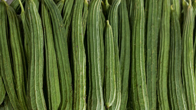 Fresh long Ridge gourd vegetable up for sale in the farm market in India.