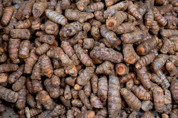 Fresh healthy Turmeric roots up for sale in Indian Farm market.