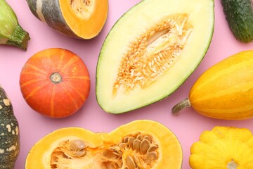 Many fresh pumpkins and other gourds on pink background, flat lay