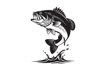 Aggressive largemouth bass leaping from water