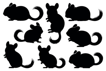A collection of nine chinchilla silhouettes in various poses against a white background