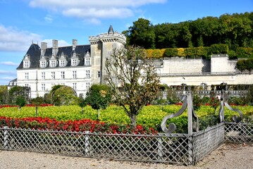 Fototapeta premium Château de Villandry (Indre-et-Loire)